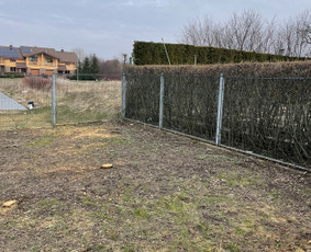 Aplinkos tvarkymas, genėjimas, tujų kirpimas ir gerbūvis / Tvarkom Sodą! Genėjimas, aplinkos tvarkymas / Darbų pavyzdys ID 3420190
