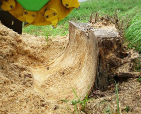Kelmų naikinimas, kelmų frezavimas - Statybos, apdaila - 2 Statybos, apdaila - Kelmų naikinimas, kelmų frezavimas - 2