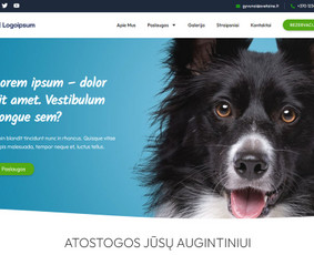 El. Parduotuvių ir Internetinių Svetainių Kūrimas, Priežiūra / Vytautas Vakulskas / Darbų pavyzdys ID 3420482