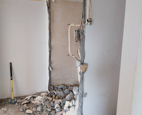 Griovimo darbai šiukšliu išvežimas / Audrius / Darbų pavyzdys ID 3420800