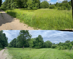 Pievų šienavimas - Aplinkos priežiūra / tvarkymas - 2