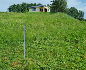 Aplinkos tvarkymo paslaugos (5) - Pievų šienavimas - 3 Pievų šienavimas - Aplinkos tvarkymo paslaugos (5) - 3
