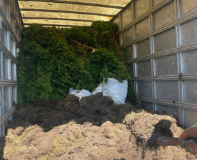 &Scaron;akų i&scaron;vežimas - Aplinkos tvarkymas, genėjimas, tujų kirpimas ir gerbūvis - 2