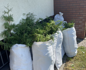 &Scaron;akų i&scaron;vežimas - Aplinkos tvarkymas, genėjimas, tujų kirpimas ir gerbūvis - 1
