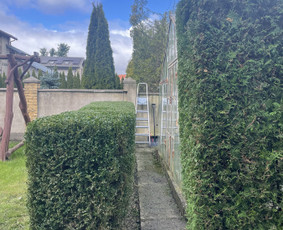 &Scaron;iltnamių surinkimas - Aplinkos tvarkymas, genėjimas, tujų kirpimas ir gerbūvis - 3