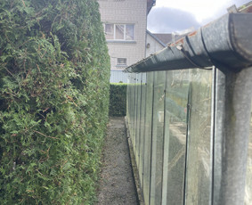 &Scaron;iltnamių surinkimas - Aplinkos tvarkymas, genėjimas, tujų kirpimas ir gerbūvis - 4