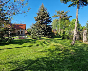 Aplinkos priežiūros darbai, žolės pjovimas / Ingridas Kazlauskas / Darbų pavyzdys ID 3428652