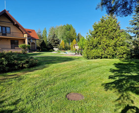 Aplinkos priežiūros darbai, žolės pjovimas / Ingridas Kazlauskas / Darbų pavyzdys ID 3428654