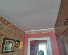 Apdaila, glaistymas dazymas, tapetavimas ,gipso klijavimas i / Artūras / Darbų pavyzdys ID 3428760
