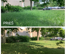 Žolės pjovimas - Žolės pjovimas, vejų priežiūra/įrengimas - 1