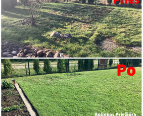 Vejos aeravimas - Žolės pjovimas, vejų priežiūra/įrengimas - 1