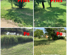 Vejos aeravimas - Žolės pjovimas, vejų priežiūra/įrengimas - 4