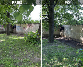 Spec. valymas: grafičių, fasado, sniego ir kt. / Profesionalus paviršių valymas. / Darbų pavyzdys ID 3429402