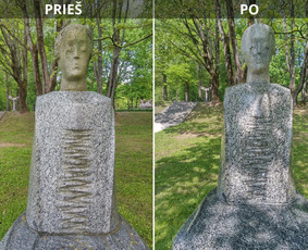 Spec. valymas: grafičių, fasado, sniego ir kt. / Profesionalus paviršių valymas. / Darbų pavyzdys ID 3431442