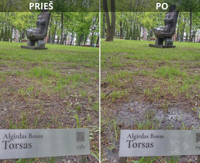 Spec. valymas: grafičių, fasado, sniego ir kt. / Profesionalus paviršių valymas. / Darbų pavyzdys ID 3431516