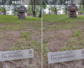 Spec. valymas: grafičių, fasado, sniego ir kt. / Profesionalus paviršių valymas. / Darbų pavyzdys ID 3431518