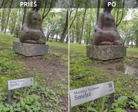 Spec. valymas: grafičių, fasado, sniego ir kt. / Profesionalus paviršių valymas. / Darbų pavyzdys ID 3431560