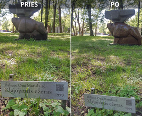 Spec. valymas: grafičių, fasado, sniego ir kt. / Profesionalus paviršių valymas. / Darbų pavyzdys ID 3431574