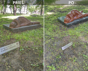 Spec. valymas: grafičių, fasado, sniego ir kt. / Profesionalus paviršių valymas. / Darbų pavyzdys ID 3431638