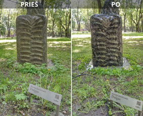 Spec. valymas: grafičių, fasado, sniego ir kt. / Profesionalus paviršių valymas. / Darbų pavyzdys ID 3431642