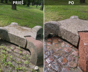 Spec. valymas: grafičių, fasado, sniego ir kt. / Profesionalus paviršių valymas. / Darbų pavyzdys ID 3431648