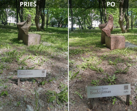 Spec. valymas: grafičių, fasado, sniego ir kt. / Profesionalus paviršių valymas. / Darbų pavyzdys ID 3431686