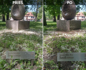 Spec. valymas: grafičių, fasado, sniego ir kt. / Profesionalus paviršių valymas. / Darbų pavyzdys ID 3431688
