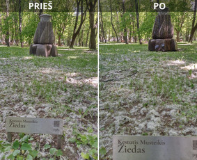 Spec. valymas: grafičių, fasado, sniego ir kt. / Profesionalus paviršių valymas. / Darbų pavyzdys ID 3431690
