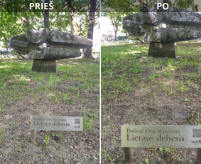 Spec. valymas: grafičių, fasado, sniego ir kt. / Profesionalus paviršių valymas. / Darbų pavyzdys ID 3431692