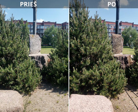 Spec. valymas: grafičių, fasado, sniego ir kt. / Profesionalus paviršių valymas. / Darbų pavyzdys ID 3431860