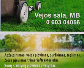 Apželdinimas,aeravimas, vejos/žolės pjovimas ir kt. / Vejos Sala M.B / Darbų pavyzdys ID 3432356