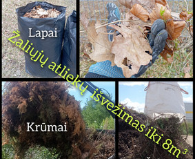 Jurveža - Patikimas / Gera kaina garantuota / Jurijus / Darbų pavyzdys ID 3432376
