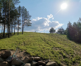 Žolės pjovimas / mulčiavimas. Sklypų priežiura - Aplinka, sodas - 1 Aplinka, sodas - Žolės pjovimas / mulčiavimas. Sklypų priežiura - 1