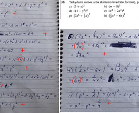 Mokymai, kursai, kalbos - Individualios ir grupinės pamokos 11-12 kl. moksleiviams - 2