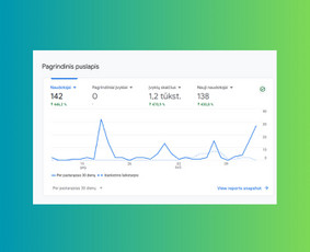 Nesudėtingų Seo užduočių atlikimas Google ir Meta Ads - SEO optimizavimas - 1 SEO optimizavimas - Nesudėtingų Seo užduočių atlikimas Google ir Meta Ads - 1