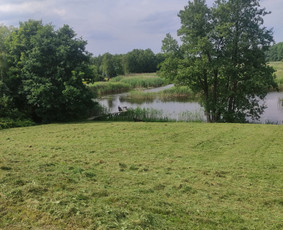 Žolės pjovimas - Apželdinimas,aeravimas, vejos/žolės pjovimas ir kt. - 1