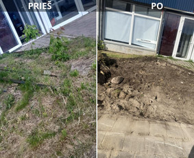 Griovimo darbai, atlieku išvežimas! / Kirita, MB / Darbų pavyzdys ID 3434250