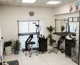 Šunų kirpykla / Kirpėjos / Darbų pavyzdys ID 3434884