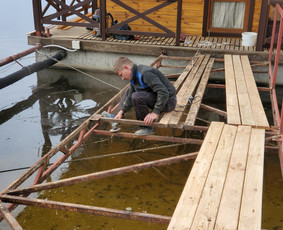 Rąstinių namų restauracija: dažymas, hermetizavimas / Vasyl Sheremet / Darbų pavyzdys ID 3435020