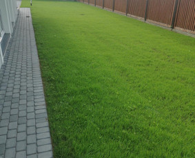 Vejos įrengimas, trinkelių klojimas / Dirvita / Darbų pavyzdys ID 3435708
