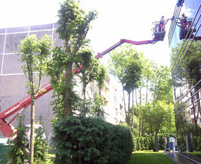 Autobokštelio nuoma - Statybos, apdaila - 4 Statybos, apdaila - Autobokštelio nuoma - 4