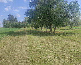 Apželdinimas,aeravimas, vejos/žolės pjovimas ir kt. / Vejos Sala M.B / Darbų pavyzdys ID 3436270