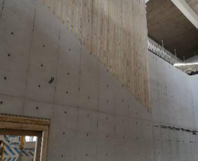 Betonavimo darbus Ir invidaliu namu statyba / Paulius / Darbų pavyzdys ID 3128419