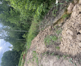 Mini ekskavatoriaus nuoma su operatoriumi 1.7t / VelKasaa / Darbų pavyzdys ID 3437452
