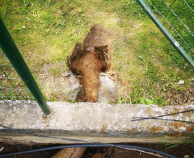 Aplinkos tvarkymas, apželdinimas, tvenkiniai - Aplinka, sodas - 2 Aplinka, sodas - Aplinkos tvarkymas, apželdinimas, tvenkiniai - 2