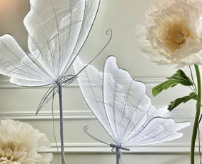 Foto sienelių bei kitų dekoracijų nuoma / Showroomas / Darbų pavyzdys ID 3438102