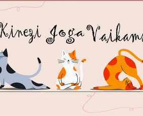 Logotipų kūrimas - Kūrybiškas grafikos dizainas: nuo idėjos iki rezultato - 1