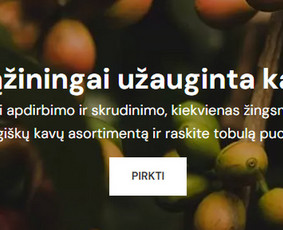 Tekstų interneto svetainėms kūrimas - Tekstų rašymas ir redagavimas / Seo tekstai / Soc. tinklai - 1