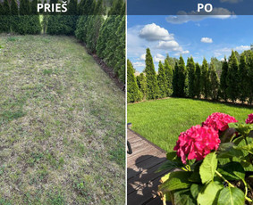 Vejos įrengimas, laistymas, „coRe“ Aeracija,skarifikacija / Jevgenij / Darbų pavyzdys ID 3438834