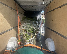 Krovinių pervežimas , perkraustymo paslaugos. / Boguva Transport / Darbų pavyzdys ID 3441740